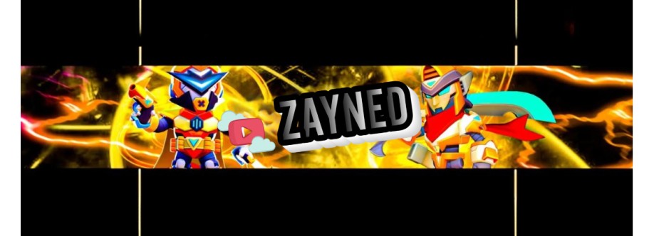 Zayned BS Cover Image